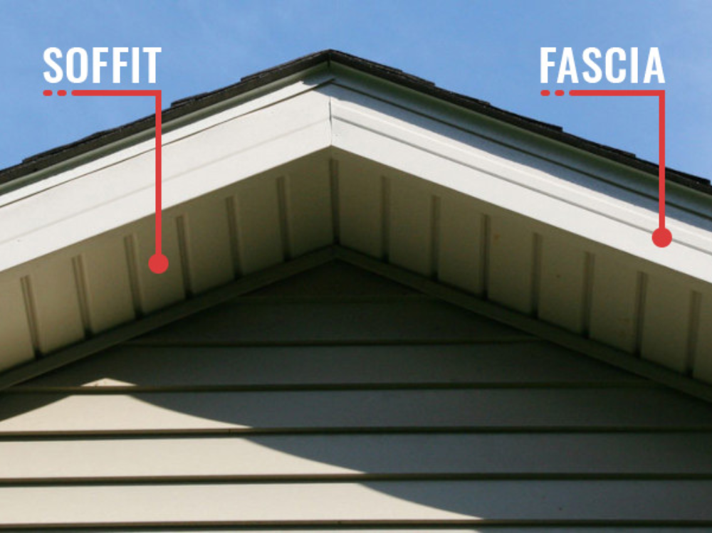 Siding & Fascia Replacement