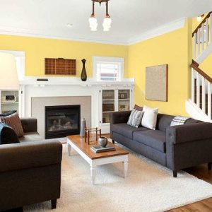 Diding & fascia replacement loveland